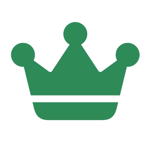 icon 6