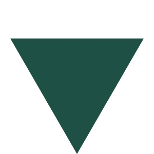 fintech marketing project